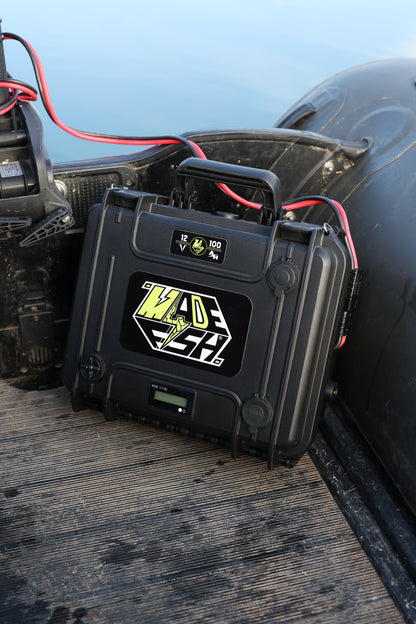 Batterie LifePo4 12.8V 100AH M4F