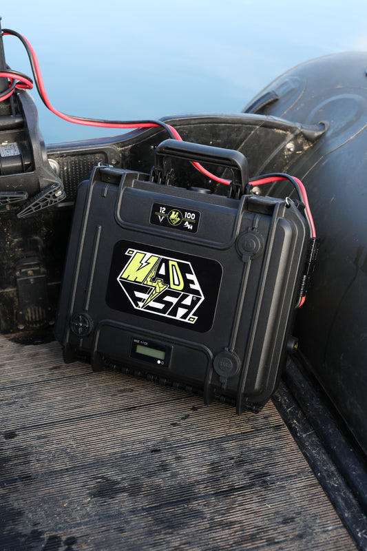 Batterie LifePo4 12.8V 100AH M4F