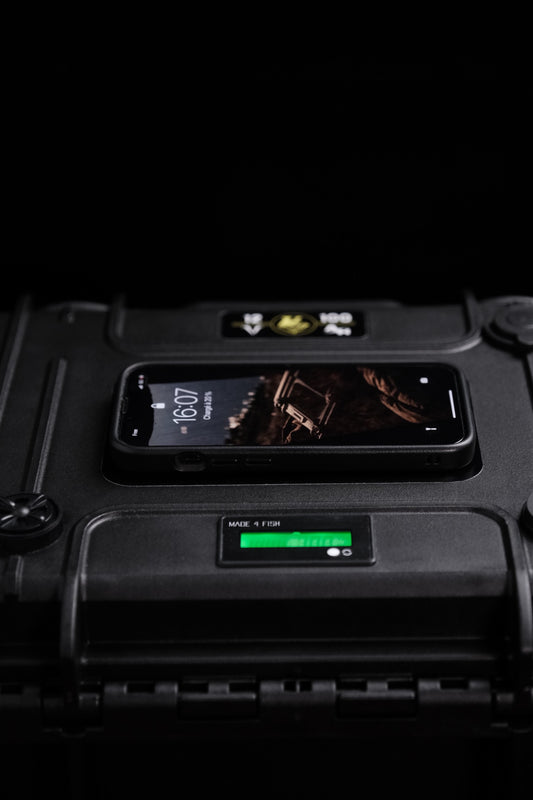 Batterie LifePo4 12.8V 50AH M4F