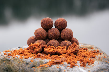 Bouillette Marina Spice