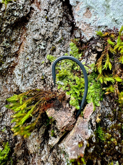 Hameçons Curv Hook S