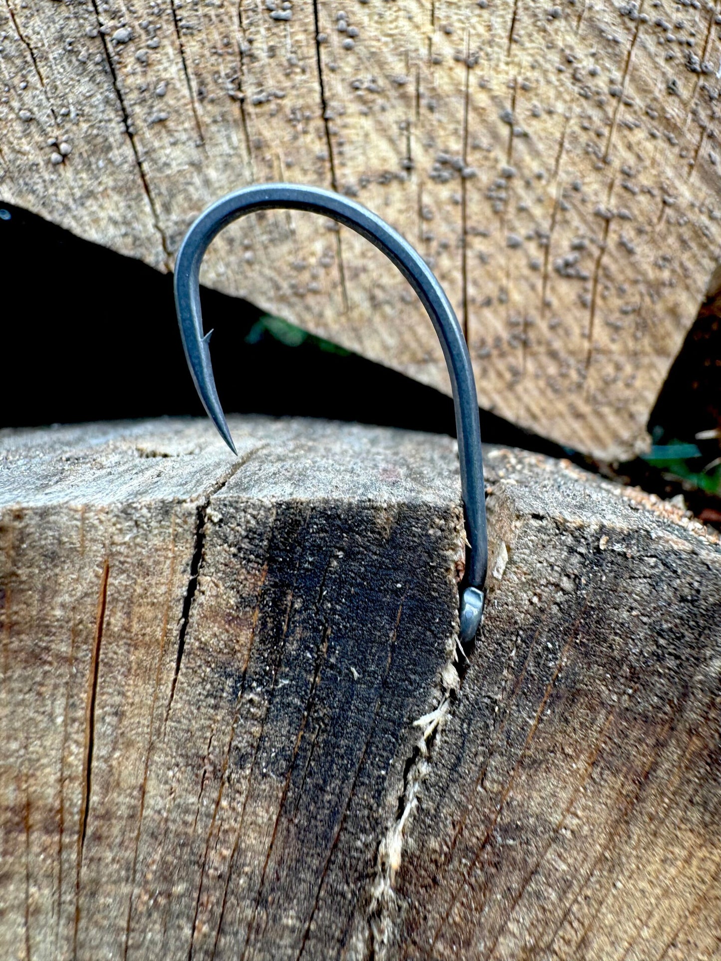 Hameçons Beak Hook S