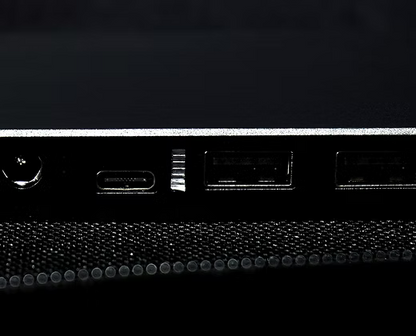 Panneau solaire M4F - 220 W