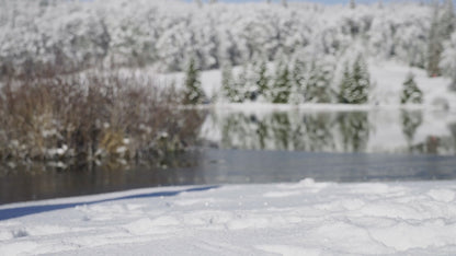 Kit complet panneau solaire M4F - 220W