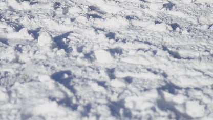 Kit complet panneau solaire M4F - 220W